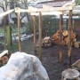 2 Skelet Staat
